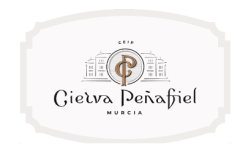 Colegio Cierva Peñafiel Murcia